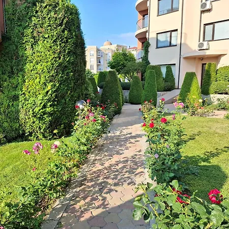 Magnolia Ράβντα